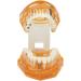 Dpofirs Orange Dental Model - Removable Teaching Tool for Dental Programs Adult Tooth Demonstration & Dental Implants - Buy Online on GoSupps.com