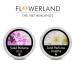 Flowerland Solid Perfumes Set Jasmine Lilac - Portable Pocket Balm Perfumes Perfect for Travel Use - Natural Fragrance Parfums for Men and Women - Natural & Vegan Jasmine-Lilac - Buy Online on GoSupps.com