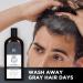 Buy The Man Company Anti-Graying 2-in-1 Shampoo & Conditioner for Men | SLS & Paraben Free Enriched with Shikakai & Bhringraj | 200ml - All Hair Types - Buy Online on GoSupps.com