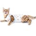 Selmai Medical Pet Shirt | Soft Cotton E-Collar Alternative for Dogs & Cats | Nursing Clothing & Wound Protection | Blue S S Football Design - Buy Online on GoSupps.com
