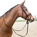 HORZE Lester Dressage Snaffle Bridle with Reins - Black Horse | Quality Equestrian Gear - Buy Online on GoSupps.com