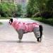 Tfeng Dog Raincoat with Removable Hoodie - Waterproof Jacket for Dogs Adjustable Outdoor Coat in Pink | 10 Sizes Available (Back Length: 40cm) - Buy Online on GoSupps.com