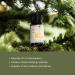 Balsam Fir Essential Oil (15ml) - Direct from Our Farm Partner in Canada - Essential Oils for Home, Humidifier, or Aromatherapy | Pure Therapeutic Grade Balsam Fir 0.5 Fl Oz (Pack of 1) - Buy Online on GoSupps.com