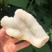 Room Decoration 1pc Natural raw White Crystal Flower Cluster Specimen Snow Crystal Cluster Rough Fish Eye Stone for Decoration Stones 200-300g - Buy Online on GoSupps.com