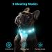 Buy PCEOTLLAR Adjustable Lumplan LED Dog Collar - Reflective & Flashing for Large Medium Small Dogs - Blue (M: 38-50cm) - Buy Online on GoSupps.com