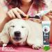 Fresh Friends for Pets Dental Enzymatic Toothpaste for Dogs | Puppy Toothpaste | Gum Toothpaste | Improves Gum Health | Eliminates Bad Breath Removes Plaque & Tartar Buildup | 90g/Bottle | Mint - Buy Online on GoSupps.com