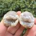 1pair Beautiful Natural Agate Geode Crystal Little Geode Cluster Rare Gem Home Decoration Collection for Gifts - Buy Online on GoSupps.com