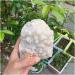 Natural Crystal Rough Original Natural Stone Feng Shui Home Decor Rock Crystal Cluster - Buy Online on GoSupps.com