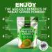 Organic Wheatgrass Powder 250g Premium EU High in Iron & Fibre to Support Energy and Stress Vegan Keto Superfood Supergreen Raw Natural Wheatgrass Powder Juice Wheat Grass Shots PROELITE - Buy Online on GoSupps.com