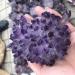 Natural Crystal Rough Crystal Natural Crystal Cluster Amethyst ore Purple Black QuartzStone Original Crystal Home Decoration (Color : Purple Size : 700-800g) 700-800g Purple