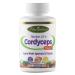 Paradise Herbs Tibetan CS-4 Cordyceps 60 Vegetarian Capsules