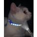 Taglory Reflective Cat Collar - Adjustable 2-Pack with Safety Clasp & Bell - Dark Blue 19-32cm - Perfect for Cats & Kittens - Buy Online on GoSupps.com