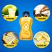 Bolero Berry Mix 24x3g | Sugar-Free Juice Powder with Stevia & Vitamin C | Gluten-Free Vegan & Ideal for Kids Athletes Diabetics | Berry Blend - Buy Online on GoSupps.com