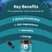 Vitamin B3 Nicotinamide 500mg Capsules - Mitochondrial Energy & Skin Supplement - 240 Count - Buy Online on GoSupps.com