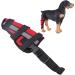 Dog Knee Brace for Cruciate Ligament Injury Joint Pain and Muscle Sore with Better Recovery Adjustable Rear Leg Braces (XXS) - Buy Online on GoSupps.com