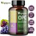 OPC Grape Seed Extract & Resveratrol - 95% High-Dose Antioxidant Non-GMO Vegan 240 Capsules | Premium Quality Supplement - Buy Online on GoSupps.com