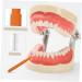 Ultechnovo 100ST Interdental Brushes | Disposable Tooth Floss for Braces | Stainless Steel 304 | International Shipping Available - Buy Online on GoSupps.com