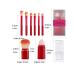 Portable Red Makeup Brush Set with Transparent Storage Box - Lightweight & Functional Brush Sets for Travel - Buy Online on GoSupps.com