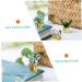 Zerodeko Car Toys 5 Pcs Cactus Decoration Cactus Figurine Vitroleros Para Mini Ornament Steam Cleaner Glass Sculpture Glass Cactus Decor Mini Figurine Crafts Car Glasses Soda Lime Glass - Buy Online on GoSupps.com