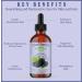 Natural Born Oils Black Raspberry Seed Oil 16oz Organic Cold-Pressed High in Ellagic Acid Skin Moisturizer Hair Health - Buy Online on GoSupps.com