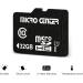 Micro Center 32GB Class 10 Micro SDHC Flash Memory Card with Adapter - 2 Pack - Buy Online on GoSupps.com