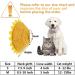 SLSON Cat Recovery Collar - Adjustable Soft Pet Cone for Cats and Puppies - Protective Cotton Cone in Yellow - Buy Online on GoSupps.com