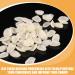 NOLITOY 100pcs Oral Teeth Temporary Veneers Veneers Teeth Repair Kit for Repairing - Buy Online on GoSupps.com
