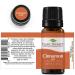 Buy Plant Therapy Cinnamon Leaf Essential Oil 10 mL - 100% Pure Therapeutic Grade - International Shipping Available - Buy Online on GoSupps.com