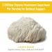 OM Mushroom Superfood Lion's Mane 60g - 30 servings - Buy Online on GoSupps.com
