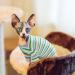 Warm Cat Cotton Sweater for Sphynx & Small Dogs | Soft Striped Jumper Costume Coats - Green Stripes - Buy Online on GoSupps.com