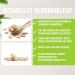 Astragalus Membranaceus Capsules - 1640 mg Daily Dose | 120 Veggie Capsules | Herbal Root Powder | 1 Month Supply | Dorado Superfoods  - Buy Online on GoSupps.com