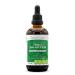 Tribal Inflam-Ease Alcohol-Free Glycerite Turmeric Licorice Meadowsweet Ginger Spirulina. Tincture Herbal Extract Intestinal Comfort Formula 4 OZ 4 Fl Oz (Pack of 1)