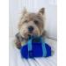 Diabetic Supply Bag for Insulin & Glucose Monitoring - Mini Duffle Bag Design - Blue - Buy Online on GoSupps.com