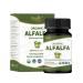 Alfalfa 120 Tablets | Medicago Sativa (Alfalfa) | USDA Organic Certified | Superfood Supplement with Vitamins and Minerals* | Dietary Supplement 120tab 120 Count (Pack of 1)