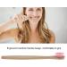 Psytfei Bamboo Toothbrush - Soft Nylon Bristles for Adults & Kids | Eco-Friendly Wooden Toothbrushes in 6 Colors (Red) - Buy Online on GoSupps.com