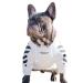 FrenchyB French Bulldog Hoodie Stylish Dog Warm Hoodie | Fashion Outfit for French Bulldog Small Medium Large (Medium White) M White