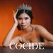 COCIDE Silver Crystal Queen Crown for Women - Rhinestone Princess Tiara for Wedding, Prom, Halloween - Bridal Hair Accessories - Buy Online on GoSupps.com