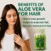 NCB NCB TECHNOLOGY Nu Health Aloe Vera Moisture Complex Vitamin E Oil for Skin | 90 Capsules | Sunflower Seed Glycine SOJA & Mineral Oil | Topical Serum for Hydrated Silky Skin | Non-Greasy - Buy Online on GoSupps.com