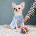 Elegant Asenku Dog Dress - Princess Lace Wedding & Birthday Outfit for Small to Medium Dogs & Cats - Blue - Buy Online on GoSupps.com