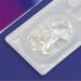 Natural Gray Contact Lenses - Jasmine Gray Silicone Comfort -4.50 Dioptries 1 Pair with Container - Glamlens - Buy Online on GoSupps.com