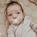 Mam Start Nano Pacifier Set of 2 - Rubber Pacifiers with Holder for 0-2 Months - Pink/White | International Shipping - Buy Online on GoSupps.com