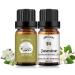 Essential Oils Set 100% Pure Organic Gardenia/Jasmine Scented Fragrance Essential Oil Aromatherapy Oils for Diffusers for Home Humidifier or DIY Soaps Candles 2x10ml Gardenia+Jasmine 10.00 ml (Pack of 1)