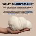 Healthy Day Supplements Lions Mane Mushroom Cognition Capsules - 120 Count | Organic Gluten Free Alpha Brain Supplement for Adults | Brain Vitamins & Focus Nootropic | Made in USA - Buy Online on GoSupps.com