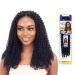 Freetress Synthetic Bulk Crochet Braid - WATER WAVE 14" (1B Off Black) 14 Inch (Pack of 1) 1B