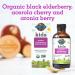 Garden of Life Kids Organic Elderberry Immune Syrup 3.9 fl oz | Boost Immunity Naturally - Buy Online on GoSupps.com