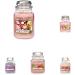 Yankee Candle Sun-Drenched Apricot Rose - Small Glass Candle | 30 Hours of Fragrance | International Shipping Available - Buy Online on GoSupps.com