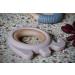 Buy Larry the Elephant: Durable BPA-Free Wooden & Silicone Bite Ring for Toddlers LFGB Certified Soothing & Safe Teething Toy - Buy Online on GoSupps.com