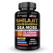 Dr.WellMe Shilajit Ashwagandha Sea Moss with Ginseng Ginkgo Biloba & Black Seed Oil - 60 Veggie Capsules Extra Strength 20 450mg - Anti-Aging Stamina Skin Radiance & Performance - Made in USA