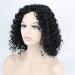 BGHJUE Lace Front Wigs - Natural Curly Human Hair Wig with Baby Hair | 38cm Black | International Shipping - Buy Online on GoSupps.com