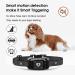 Auto Citronella Dog Bark Collar | 3 Spray Levels & 3 Sensitive Levels | Humane Anti Barking Control | IPX7 Waterproof | Safe for L/M/S Dogs | Black - B470 - Buy Online on GoSupps.com